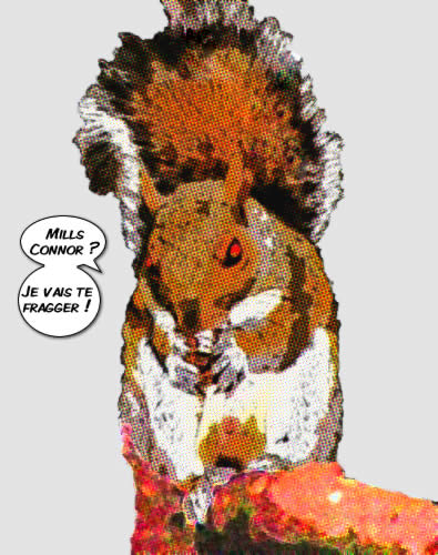 Écureuil enragé